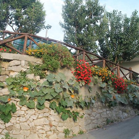Casa Vacanze Chery Sorrento Exteriér fotografie