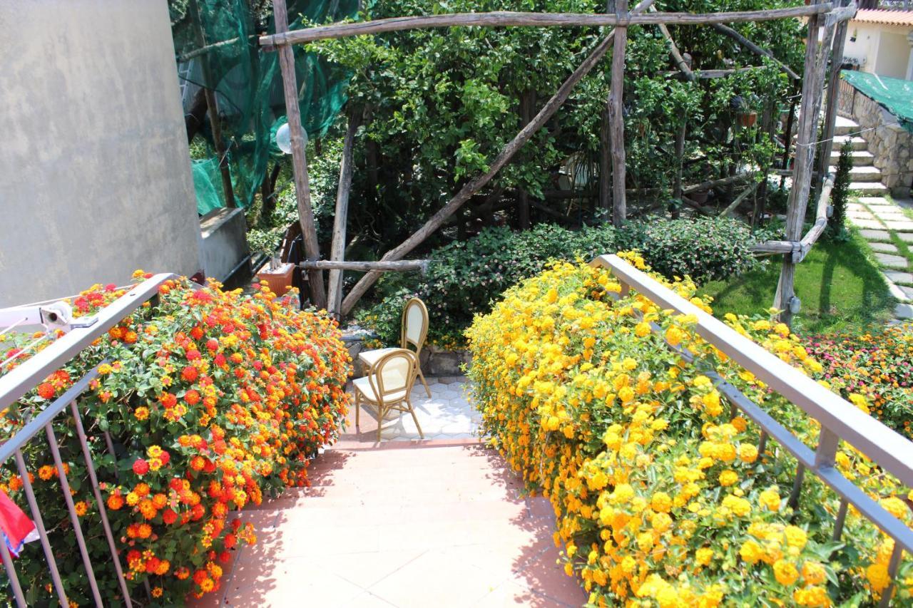 Casa Vacanze Chery Sorrento Exteriér fotografie