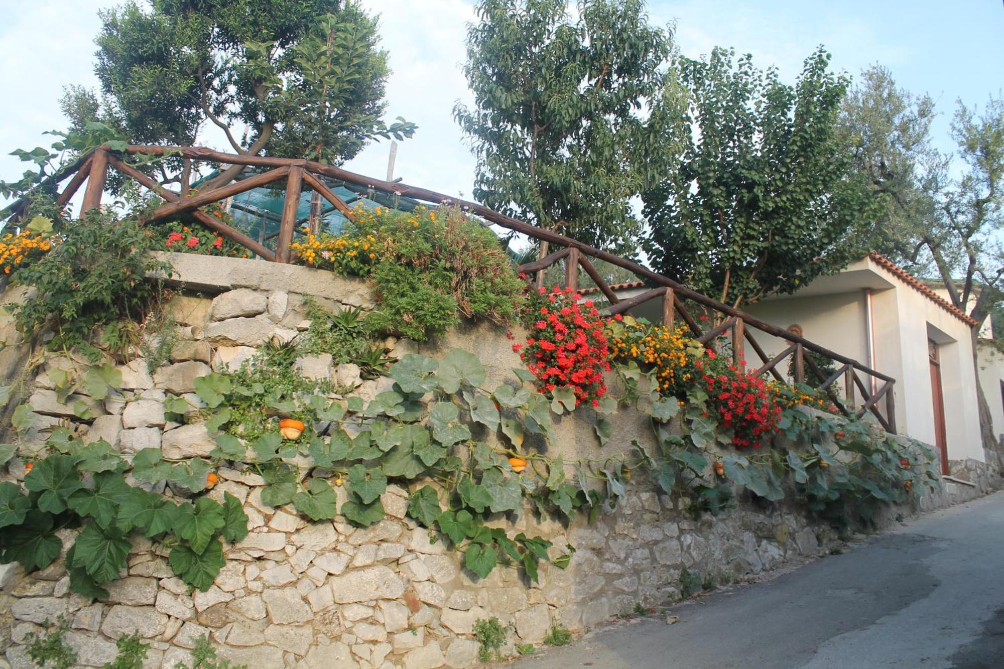 Casa Vacanze Chery Sorrento Exteriér fotografie