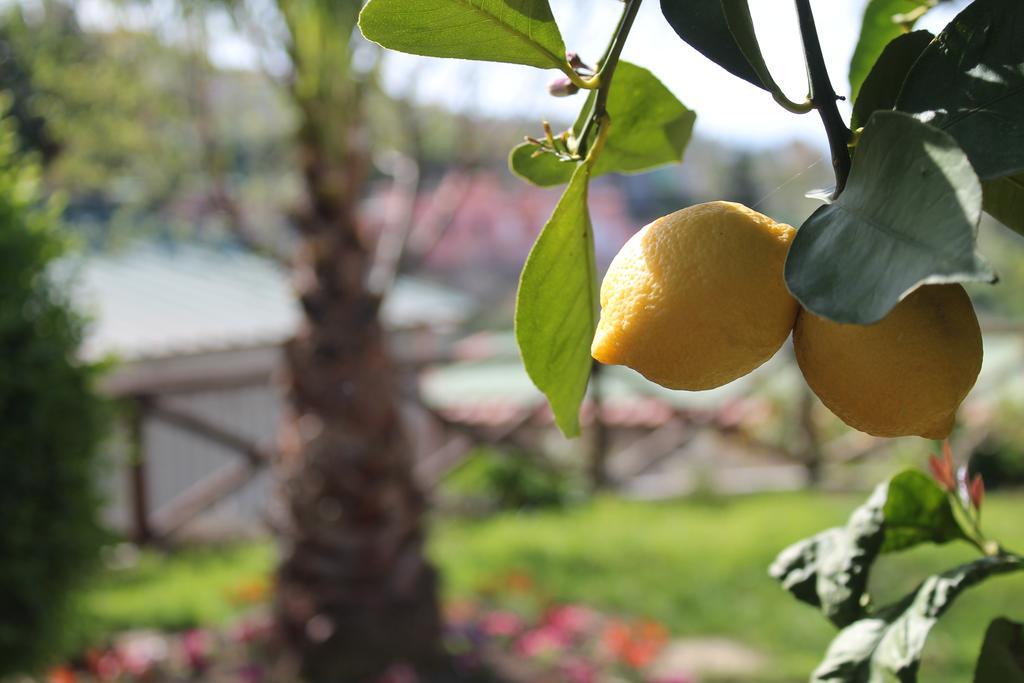 Casa Vacanze Chery Sorrento Exteriér fotografie