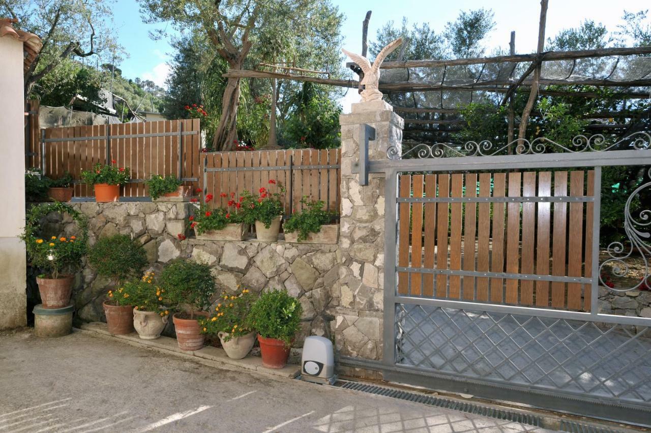 Casa Vacanze Chery Sorrento Exteriér fotografie